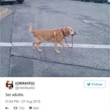 El cerebro sigue cambiando durante los veintes