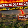 Clima en Coachella 2026 segundo fin de semana