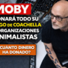Moby portrait with studio equipment background and bold Spanish headlines about donating Coachella earnings to animal charities.