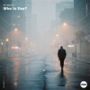 Album cover: a lone man walks away through a foggy, rain-soaked city street at night; 'Santiablo Who Is You?' in the top-left.